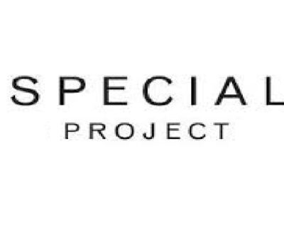 SPECIAL PROJECT DIVISION